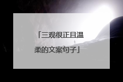 三观很正且温柔的文案句子