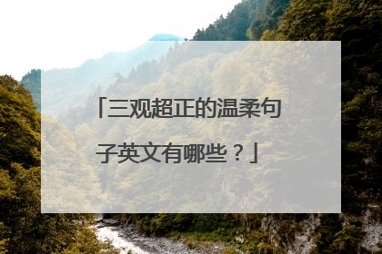 三观超正的温柔句子英文有哪些？