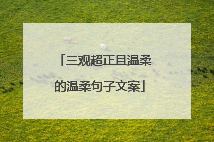 三观超正且温柔的温柔句子文案