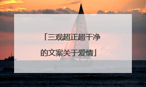三观超正超干净的文案关于爱情