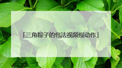 三角粽子的包法视频慢动作