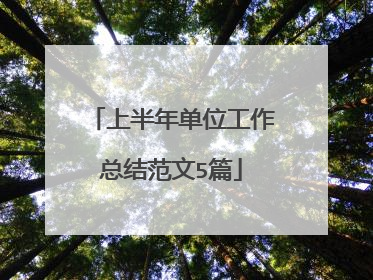 上半年单位工作总结范文5篇