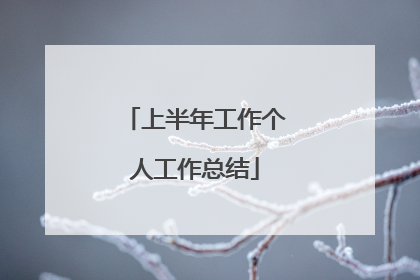 上半年工作个人工作总结