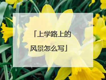 上学路上的风景怎么写