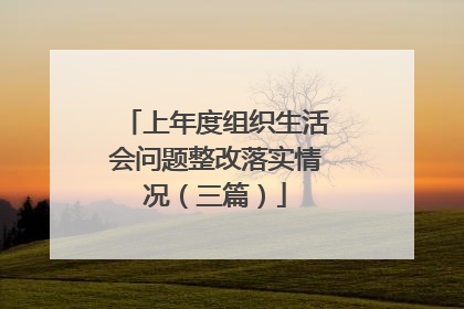 上年度组织生活会问题整改落实情况(三篇)
