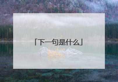 下一句是什么