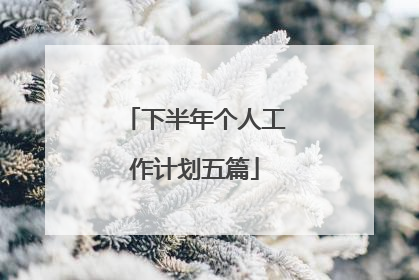 下半年个人工作计划五篇