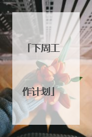 下周工作计划