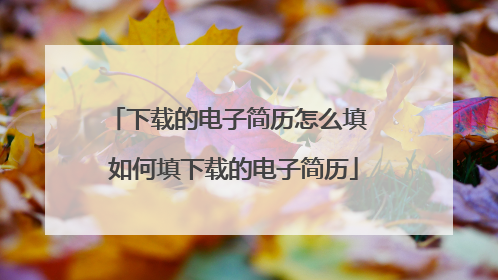 下载的电子简历怎么填 如何填下载的电子简历