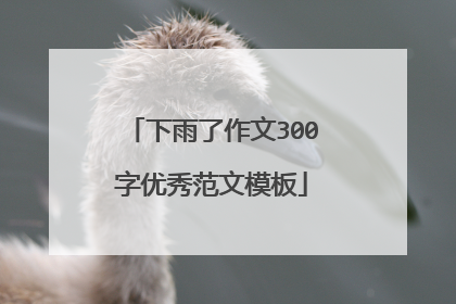 下雨了作文300字优秀范文模板