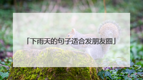 下雨天的句子适合发朋友圈