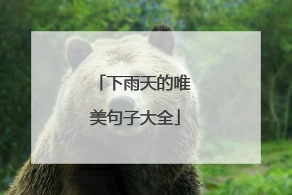 下雨天的唯美句子大全