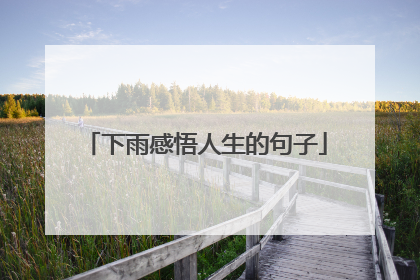 下雨感悟人生的句子