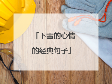 下雪的心情的经典句子
