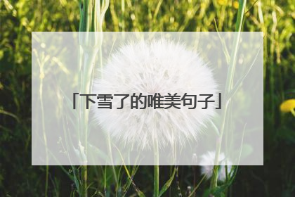 下雪了的唯美句子