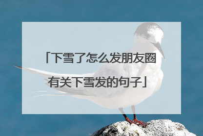 下雪了怎么发朋友圈 有关下雪发的句子