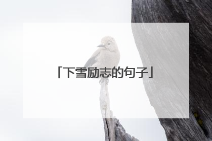 下雪励志的句子