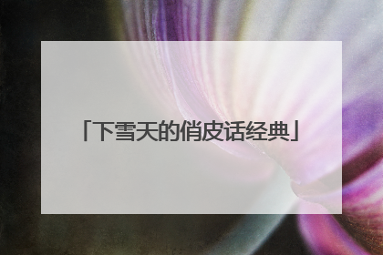下雪天的俏皮话经典