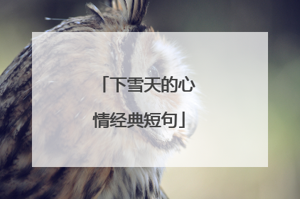 下雪天的心情经典短句