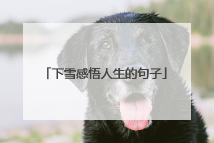 下雪感悟人生的句子