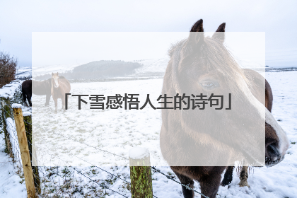 下雪感悟人生的诗句