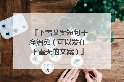 下雪文案短句干净治愈(可以发在下雪天的文案)