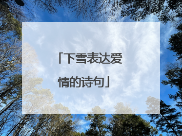 下雪表达爱情的诗句