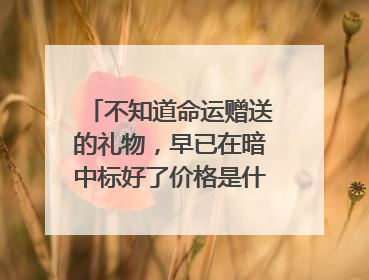 不知道命运赠送的礼物，早已在暗中标好了价格是什么意思？