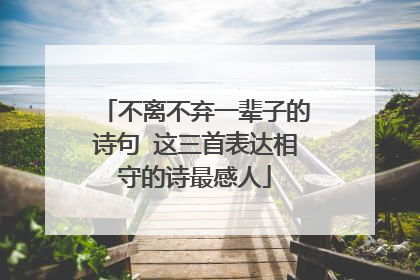 不离不弃一辈子的诗句 这三首表达相守的诗最感人
