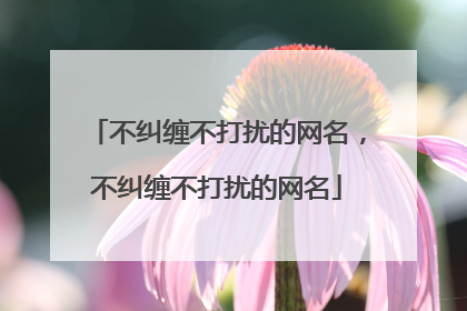 不纠缠不打扰的网名，不纠缠不打扰的网名