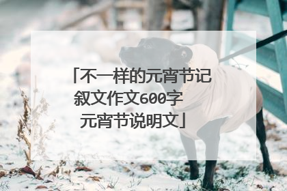 不一样的元宵节记叙文作文600字 元宵节说明文