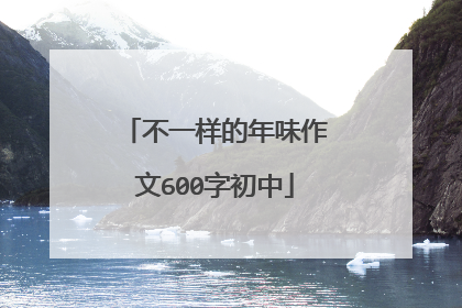 不一样的年味作文600字初中
