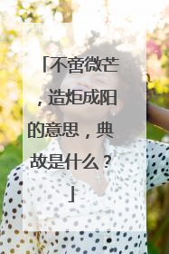 不啻微芒，造炬成阳的意思，典故是什么？