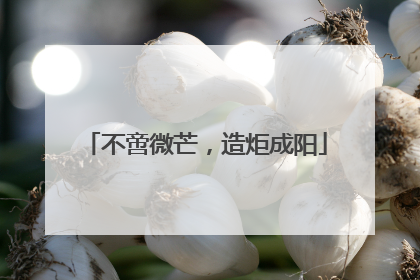 不啻微芒，造炬成阳