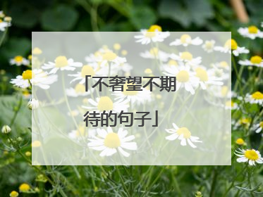 不奢望不期待的句子
