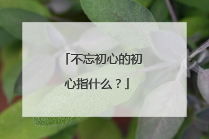 不忘初心的初心指什么？