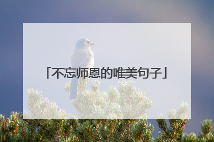 不忘师恩的唯美句子