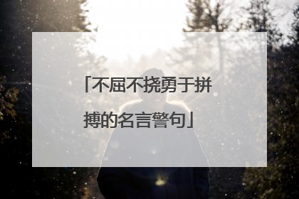 不屈不挠勇于拼搏的名言警句