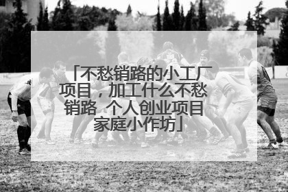 不愁销路的小工厂项目，加工什么不愁销路 个人创业项目 家庭小作坊