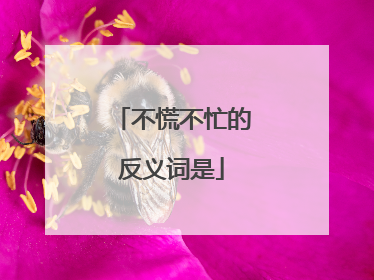 不慌不忙的反义词是