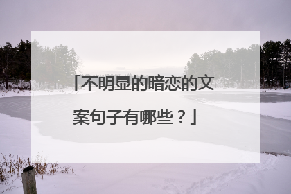 不明显的暗恋的文案句子有哪些？