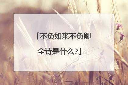 不负如来不负卿全诗是什么?