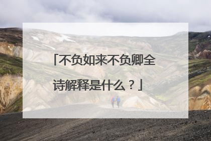 不负如来不负卿全诗解释是什么?