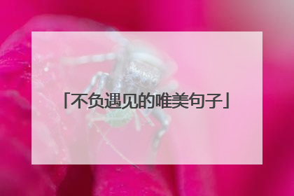 不负遇见的唯美句子