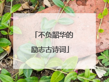 不负韶华的励志古诗词