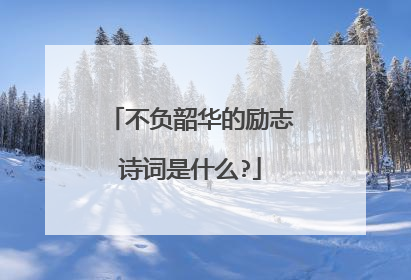不负韶华的励志诗词是什么?