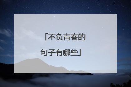 不负青春的句子有哪些