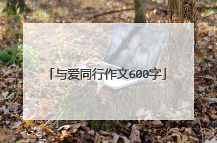 与爱同行作文600字