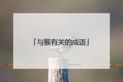 与猴有关的成语
