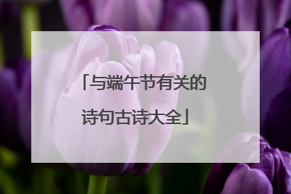与端午节有关的诗句古诗大全